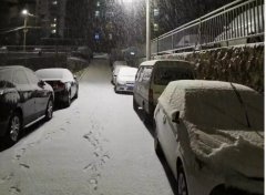 青島！大雪！大愛！