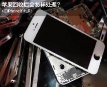 舊iPhone如此多 蘋(píng)果回收后會(huì)如何處理